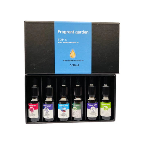 Fragrant Oil Perfume (Pack of 6)زيت عطر معطر (عبوة من 6 قطع)