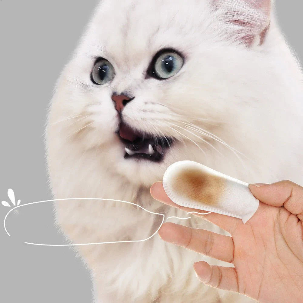 Oral And Dental Cleaning Wipes For Pet Cats And Dogsمناديل تنظيف الفم والأسنان للقطط والكلاب