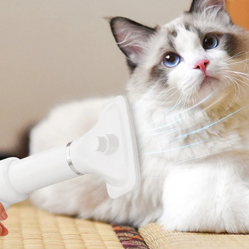 Pet Hair Dryer Comb For Cats And Dogsمجفف شعر الحيوانات الأليفة وفرشاة للقطط والكلاب
