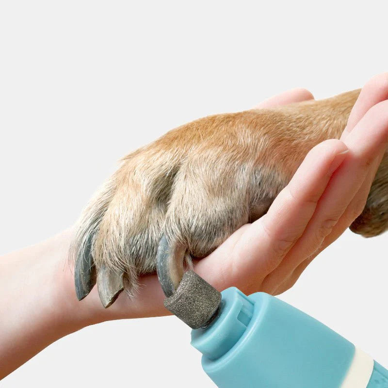 Pet Nail Polisher And Hair Trimmer One Machine Dual Purpose Household Petsمبرد أظافر الحيوانات الأليفة وماكينة تشذيب الشعر