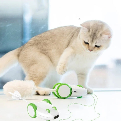 Cat Toys Anti-boring Artifact Automatic Funny Stick Replacement Head Feather Pet Products ألعاب القطط – أداة مضادة للملل مع عصا تلقائية مضحكة ورأس بديل بريش، منتجات للحيوانات الأليفة